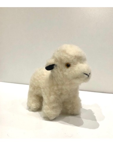 WOOL SHEEP
