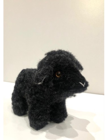 WOOL SHEEP