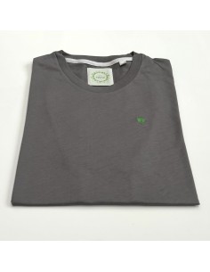 CAMISETA GRIS CON TREBOL BORDADO 2