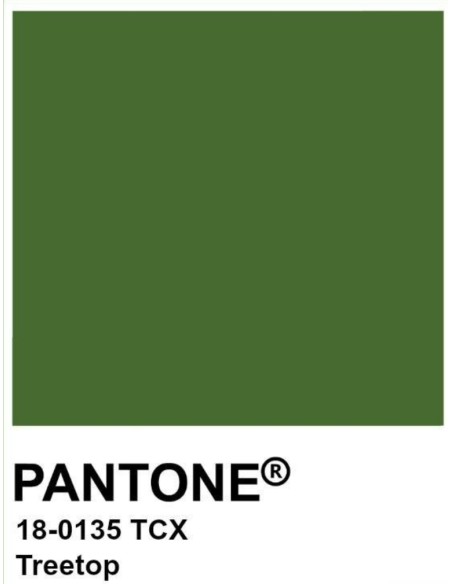 CAMISETA VERDE CON TREBOL BORDADO